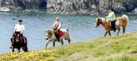 cheval equitation centre equestre feunteun aod plogoff